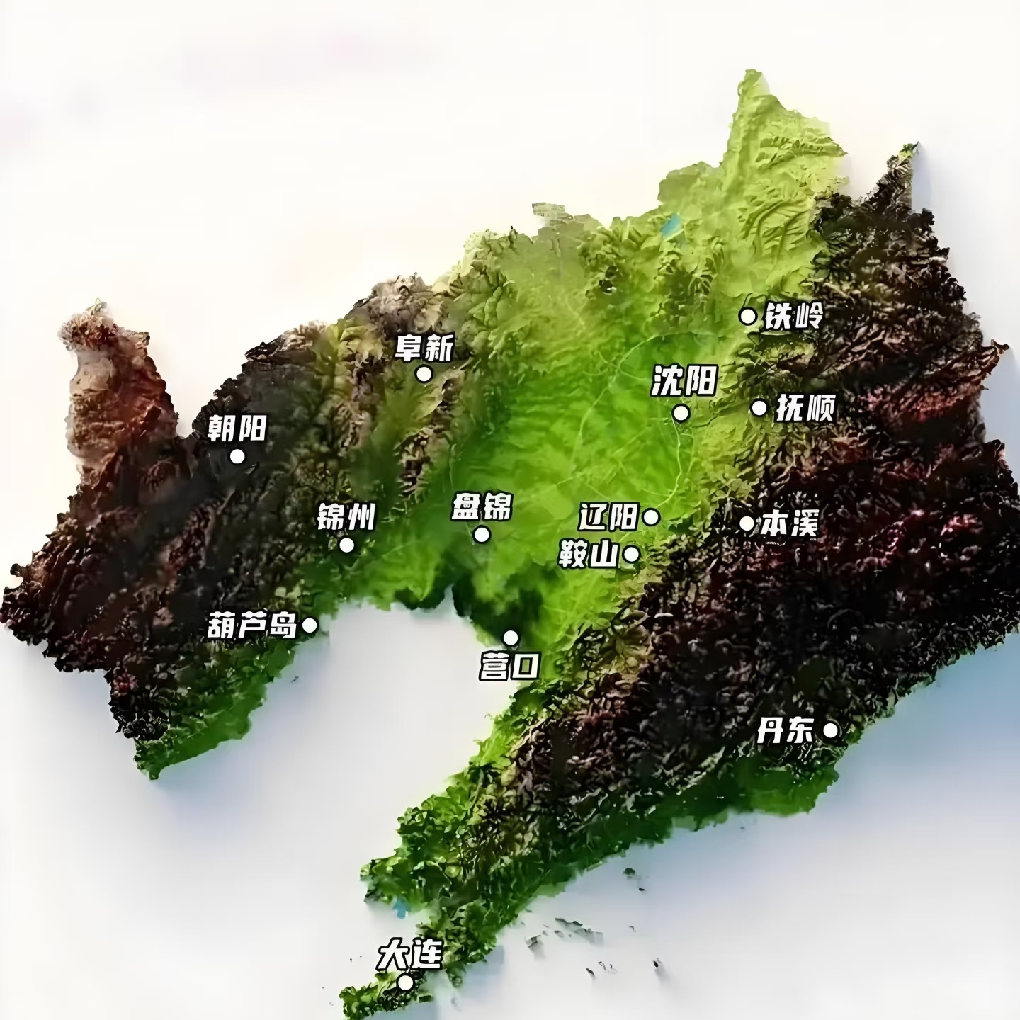 辽宁新增4例本土︰(辽宁新增4本土病例行动轨迹)