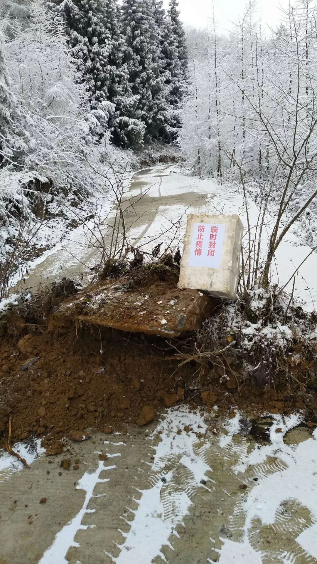 【全国返乡热情高涨多地出台新规定/全国返乡人员政策】-第1张图片