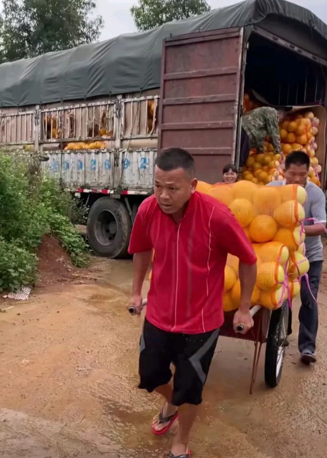 河北保定现状如何?市民:感染者确实不少.河北保定疫情发展情况-第2张图片