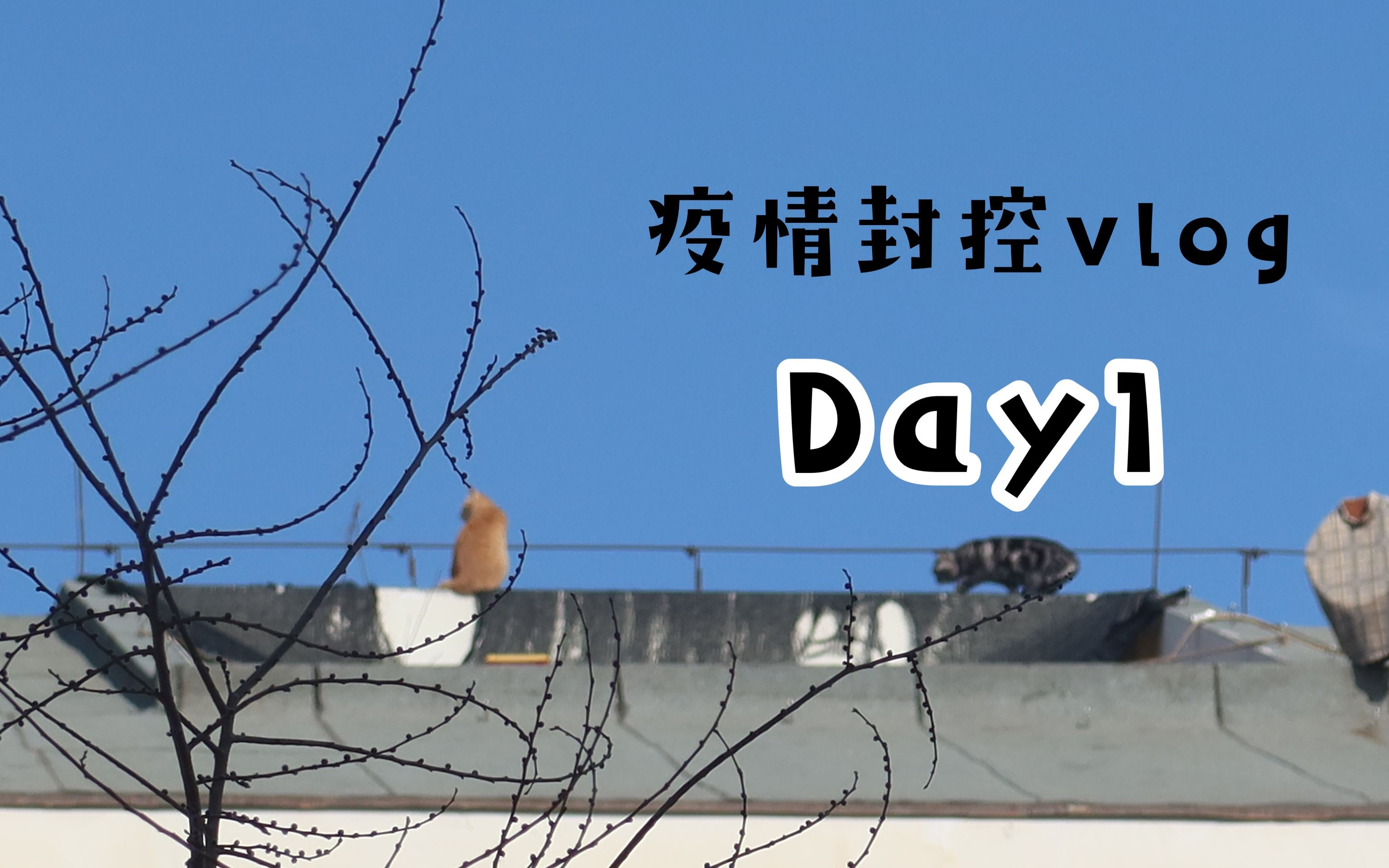 「西罗园一区疫情」〃西罗园一区封闭-第1张图片