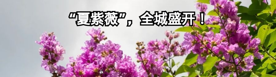吉林新增本土确诊325例,吉林新增63例本土病例-第1张图片
