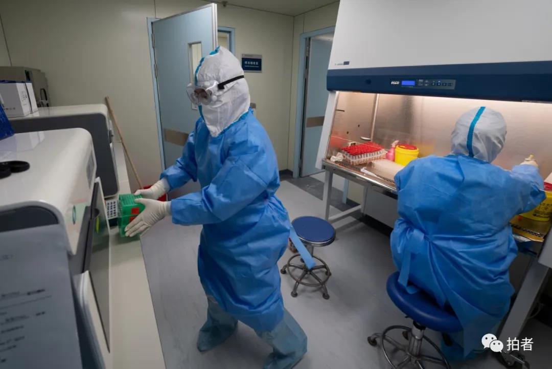 “北京核酸检测	” 北京核酸检测公司？-第1张图片