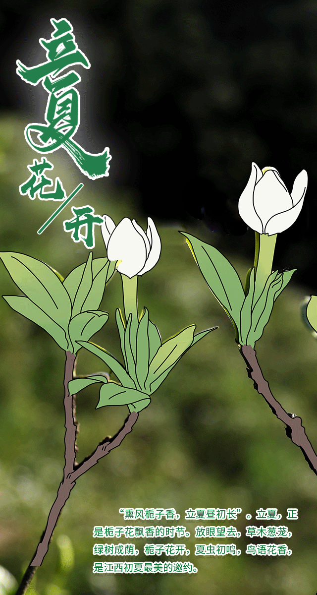 动态清零和静态清零的区别的简单介绍-第1张图片