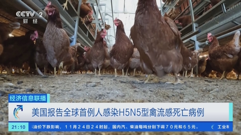 “美国新冠肺炎确诊超86万例” 美国新冠肺炎确诊病例超159万？-第3张图片