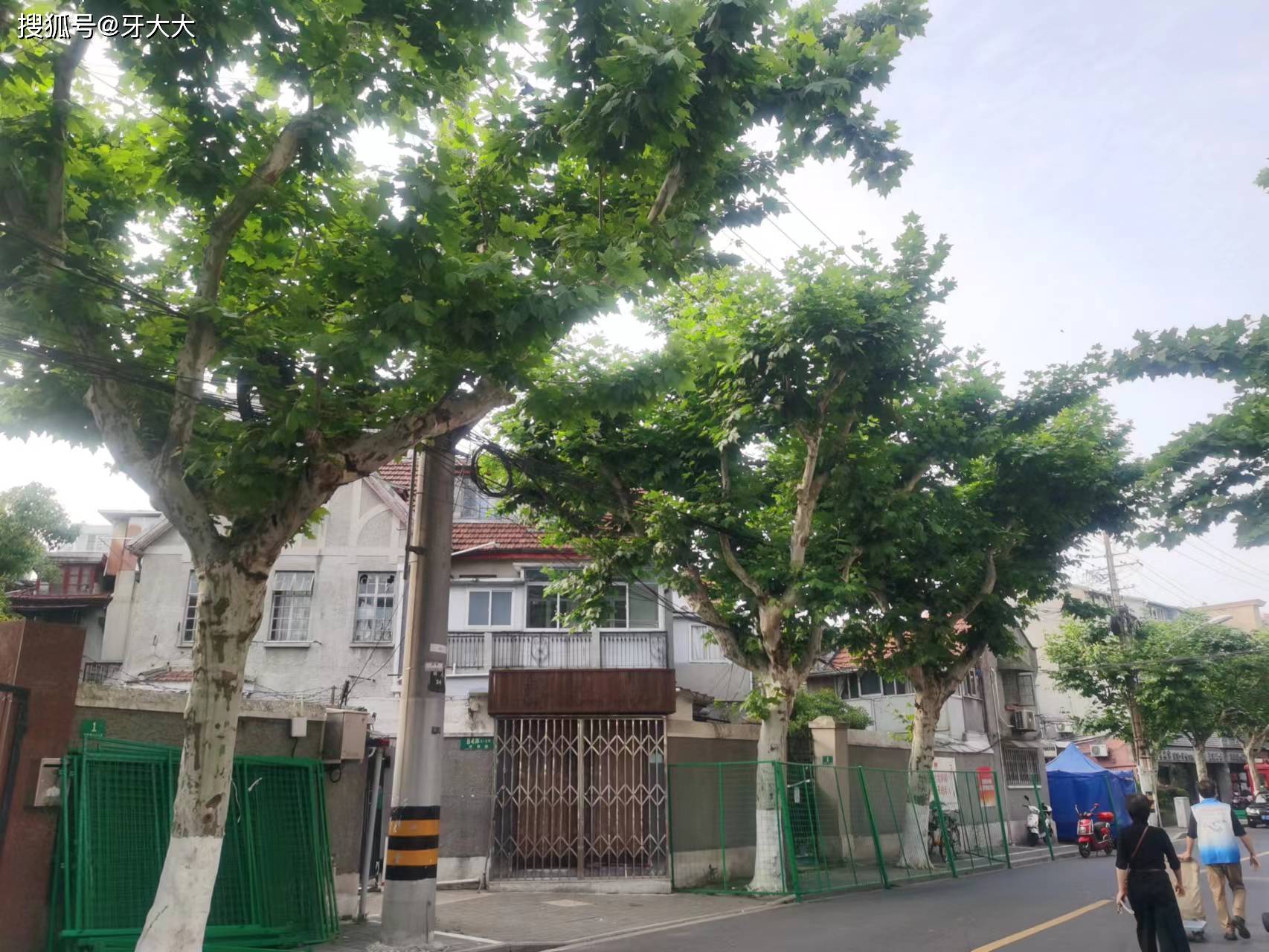 「上海解封最新消息」〃上海疫区解封