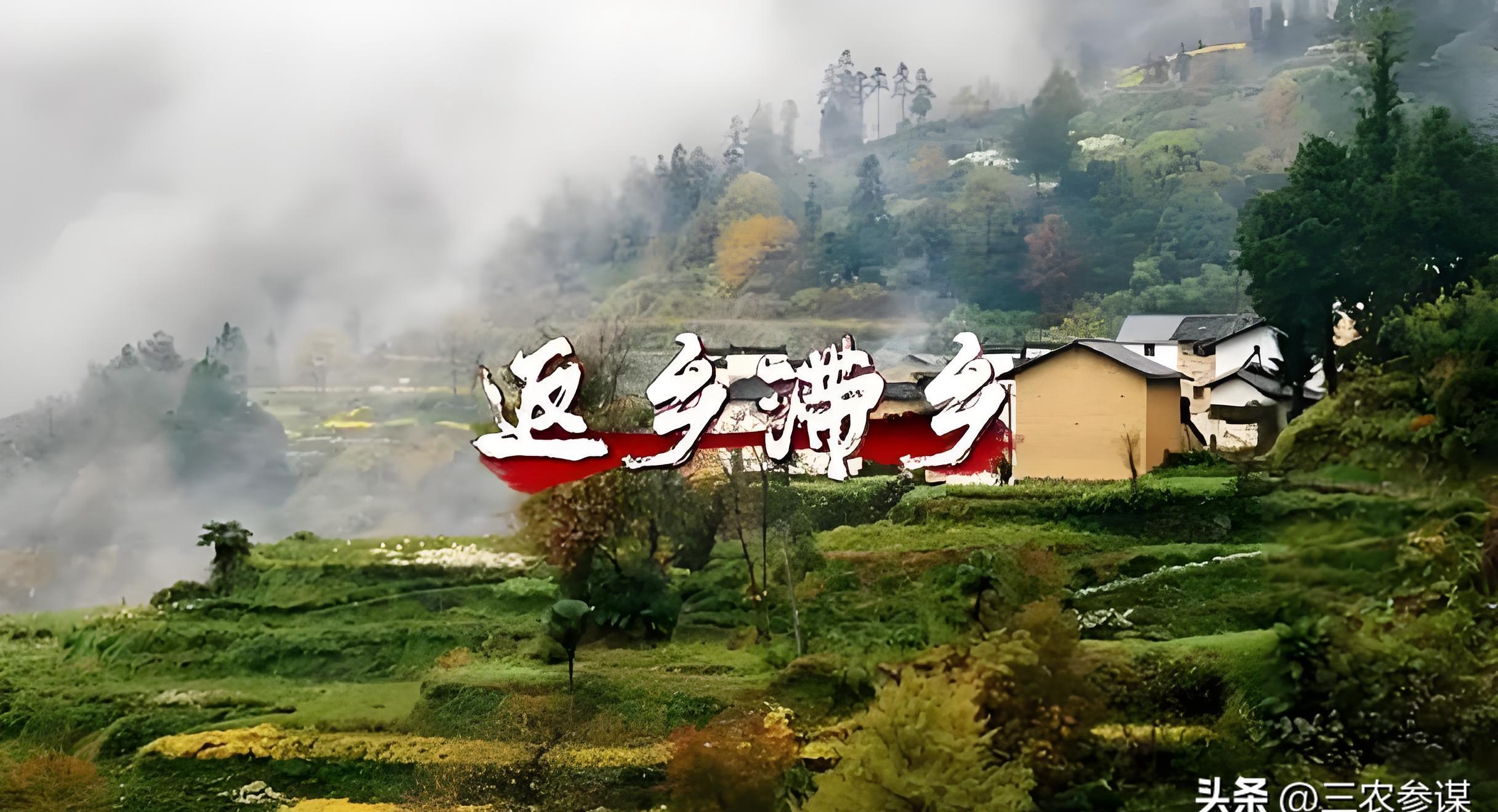 返乡政策.农村新政农民自愿返乡政策-第2张图片