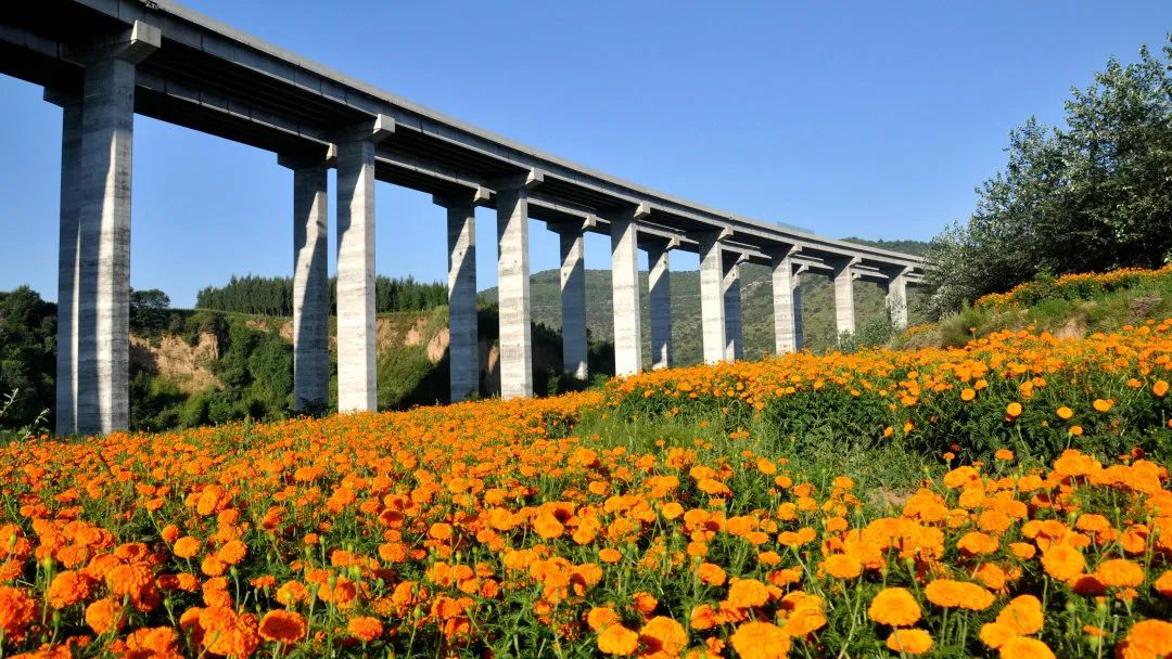 「高速封闭查询表今天」〃高速封闭查询表今天晋城-第3张图片