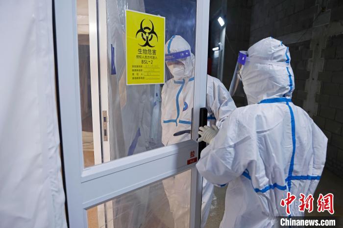 上海拟开展全员核酸-上海拟开展全员核酸检测-第1张图片