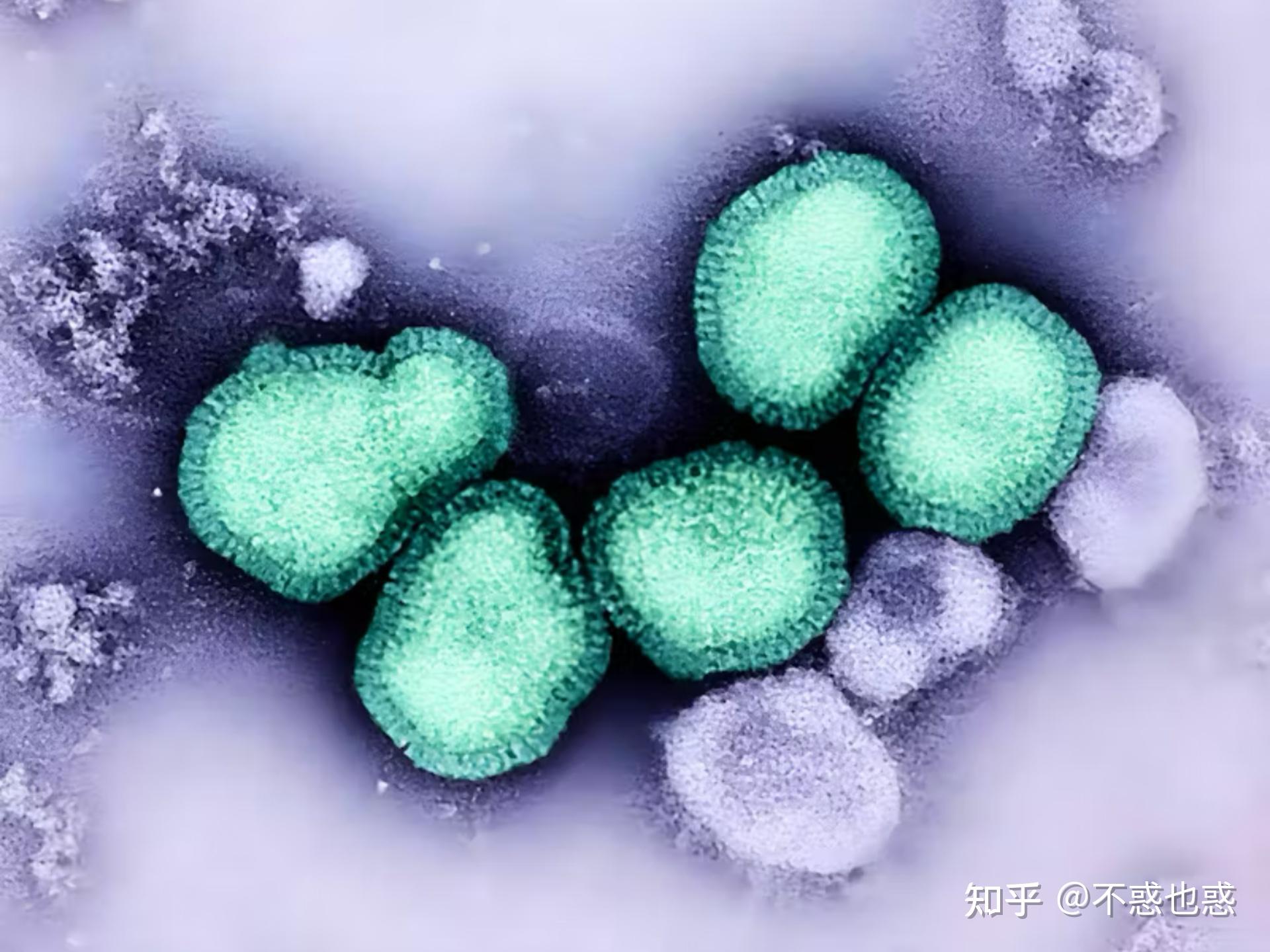 专家:新冠再变异可能性较低.新冠变异能变异到什么程度-第3张图片