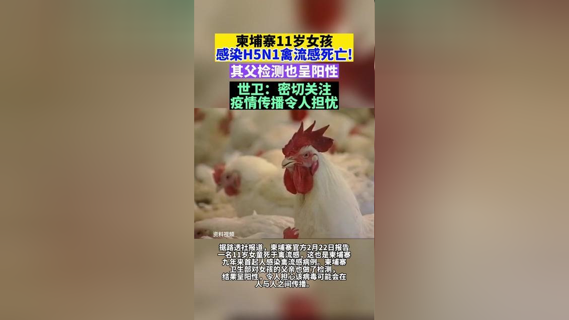 上海12件样本呈阳性,上海12人感染-第1张图片