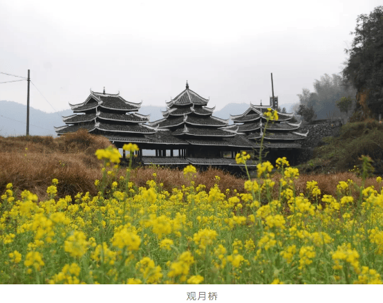 “怀化疫情最新消息今天封城了” 怀化疫情最新消息封路？-第1张图片