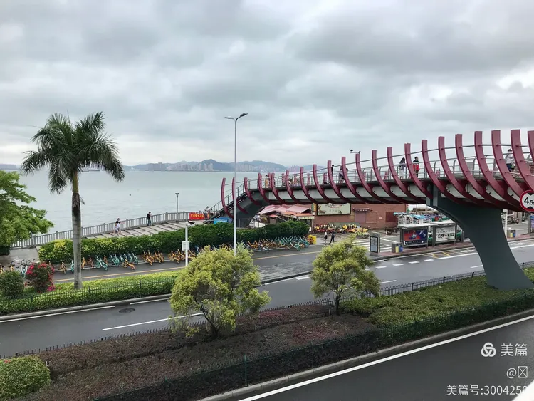 厦门疫情-厦门疫情是哪一年发生的-第1张图片