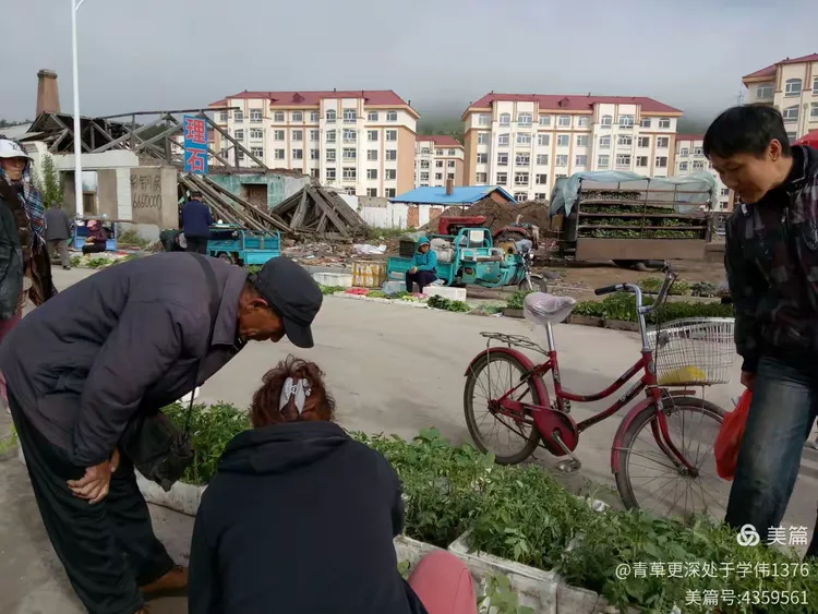 北京海淀一农贸市场中发现1例阳性.海淀最近的农贸大集-第1张图片